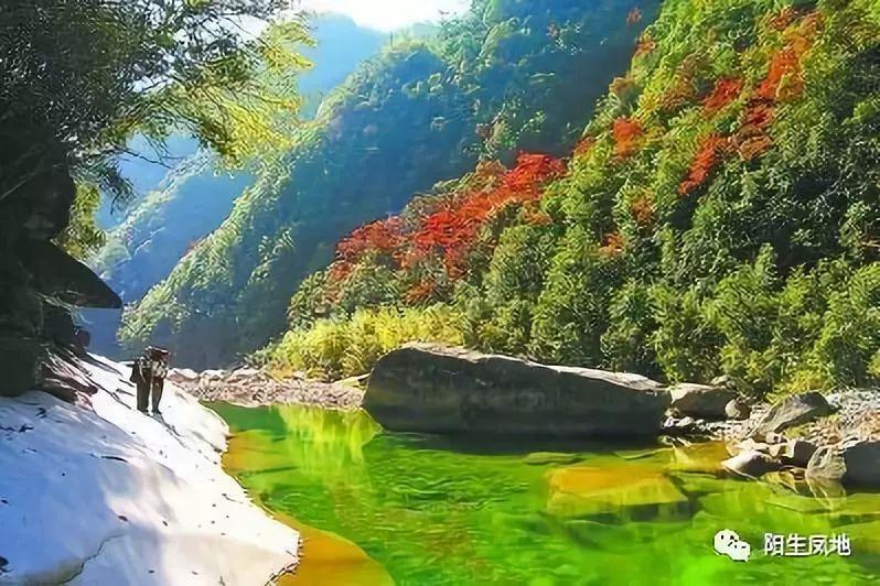 危险森林大逃脱